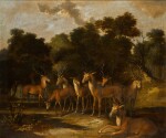 Stags and a hind by a pool in a forest clearing