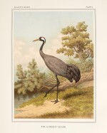 Frans Ernst Blaauw | A monograph of the cranes, Leiden, 1897, original pictorial cloth gilt