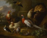 Peacock, pheasant, chickens, partridges and a lapwing in a landscape