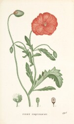 Jaume Saint-Hilaire | Plantes de la France, [1805]-1809, 4 volumes