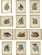A set of twelve handcoloured ornithological lithographs by J. Wolfe & J. Smit, 1872