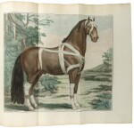 LAFOSSE, PHILIPPE ÉTIENNE | Cours d'hippiatrique, ou traité complet de la médecine des chevaux. Paris: Edme, 1772
