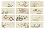 Yu Xing (1692-after 1768) 余省 | Flowers 花卉集錦冊