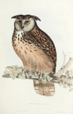 John Gould | A century of birds from the Himalayan mountains, 1832