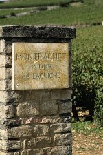 Montrachet, Marquis de Laguiche 2016 Joseph Drouhin (12 BT)