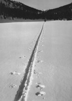 'Ski Tracks, Yosemite'