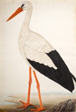 A White Stork (Ciconia Ciconia) in a Landscape, Company School, Lucknow, circa 1800