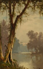 A Louisiana Bayou