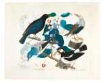 ALOYS ZÖTL | A COMMON BLACKBIRD, A RED-BILLED STARLING, A WESTERN BLUEBIRD AND A PIED MYNA ON A BRANCH OF A CHERRY TREE