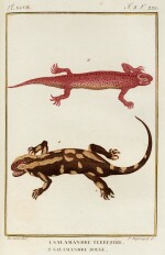 Georges-Louis Leclerc, comte de Buffon | Histoire naturelle, générale et particuliere... nouvelle edition, 1798-1802, 128 vols, tree calf gilt