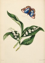 Eliza Eve Gleadall | The beauties of flora, Wakefield, [1834-36], 2 vols in 1, nineteenth-century green half morocco