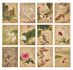Zhang Wei, Birds and Flowers | 張煒 花鳥冊頁