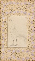A cockerel, India, Mughal, 17th/18th century