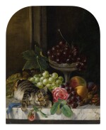ROBERT NIGHTINGALE | STILL LIFE WITH FLOWERS, FRUIT AND A KITTEN