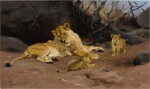 WILHELM KUHNERT | A LIONESS AND HER CUBS