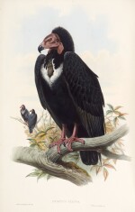 John Gould | The birds of Asia, 1850-1883, 7 volumes, contemporary green half morocco