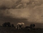 'New Mexico' (Grazing Horses, Taos)
