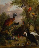 An assembly of birds in a parkland landscape, including a great curassow, a blue-billed curassow, a white muscovy duck, an Australian king parrot, a yellow parrot, turtle doves, a crow, a guinea fowl, and ducks