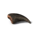The Claw of an Allosaurus