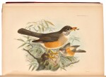 H. Seebohm | A monograph of the Turdidae, or family of thrushes, [1898-] 1902, 2 volumes, red three quarter morocco