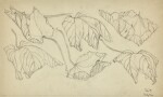 ELIOT HODGKIN | SKETCH FOR SIX DEAD LEAVES; STUDY FOR CAPE GOOSEBERRIES; SKETCH FOR EIGHT FEATHERS
