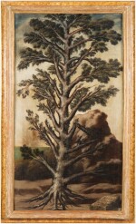 Italian School, Early 18th Century, A Tree | Ecole italienne du début du XVIIIe siècle, Un Arbre
