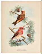 E.T. Booth | Rough notes on the birds observed... in the British Islands, 1881-87, 3 vol., original half morocco