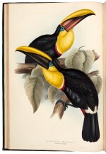 John Gould | Monograph of the Ramphastidae, or family of Toucans. London, 1834