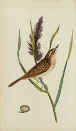 John Cotton | The Song Birds of Great Britain, London, 1836, nineteenth-century green half morocco