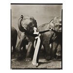 RICHARD AVEDON | DOVIMA WITH ELEPHANTS, EVENING DRESS BY DIOR, CIRQUE D'HIVER, PARIS