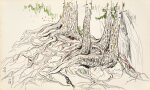 吳冠中 樹根速寫 │ Wu Guanzhong, Tree Roots