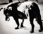 DAIDO MORIYAMA | 'STRAY DOG, MISAWA', 1971