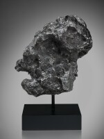 Campo Del Cielo Meteorite | Alien-Like Braincase Evoked In Campo Del Cielo Meteorite