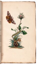 Edward Donovan | The natural history of British insects, 1792-1801, 10 volumes (of 16)