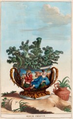 Abraham Munting | Naauwkeurige Beschryving des Aardgewassen, Leiden, 1696, red morocco gilt