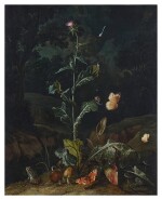 Nocturnal forest floor still life with a thistle, butterflies, mushrooms and a frog
