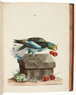 Peter Brown | New Illustrations of Zoology, 1776, finely-bound copy