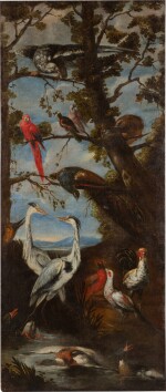 A still-life with birds | Nature morte aux oiseaux