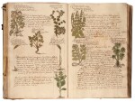 Herbal | Manuscript in Dutch with coloured woodcuts, early eighteenth century, vellum