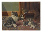 BURKHARD FLURY | CAT FAMILY