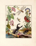 August Johann Rösel von Rosenhof | De natuurlyke Historie der Insecten, 1765-82, 4 vols, red morocco gilt