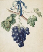 A bunch of grapes 
