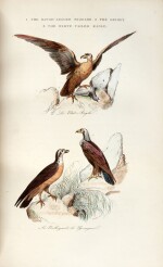 Achille Comte | The book of birds, London, 1841, contemporary red half morocco