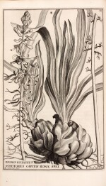 Jacob Breyne | Exoticarum aliarumque minus cognitarum plantarum centuria prima, Gdansk, [1674]-78, contemporary calf