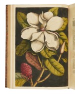 Catesby, Mark | The "most famous colorplate book of American plant and animal life ..."
