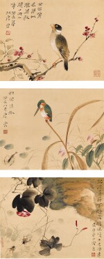 唐雲　花鳥草蟲 | Tang Yun, Flowers and Birds