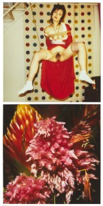 Pola Eros; and, Flower, 2010-2012 (Two Works)