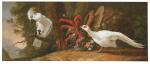 ABRAHAM BISSCHOP | A sulphur-crested cockatoo, a red-crested cardinal and a white pheasant in a landscape with a fallen urn in the background