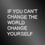 If You Cant Change the World, Change yourself