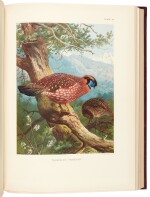William Beebe | A Monograph of the Pheasants, 4 volumes, London: Witherby & Co., 1918-22